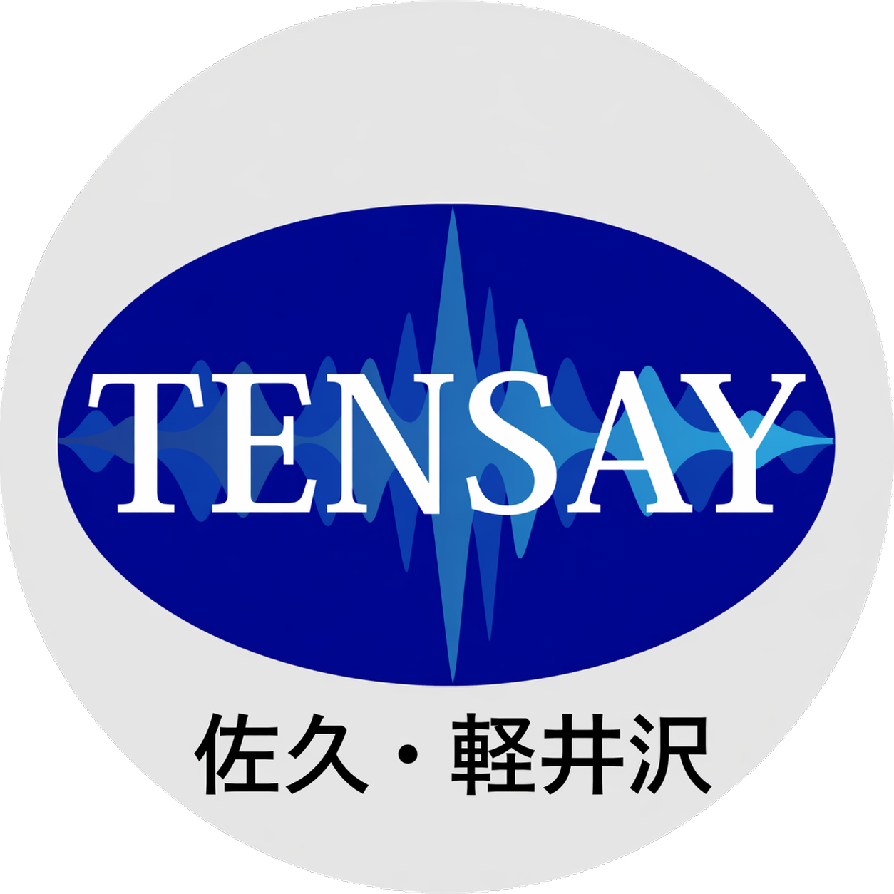 TENSAY Logo